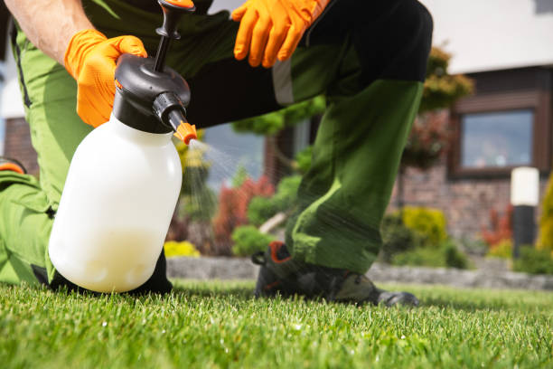 Best Rat Extermination Near Me  in Liberty, MO